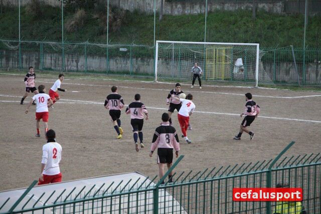101202_Termitana_jun 059y_tn.jpg